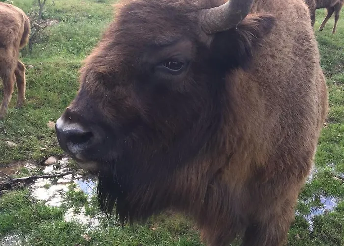 La منزل ريفي