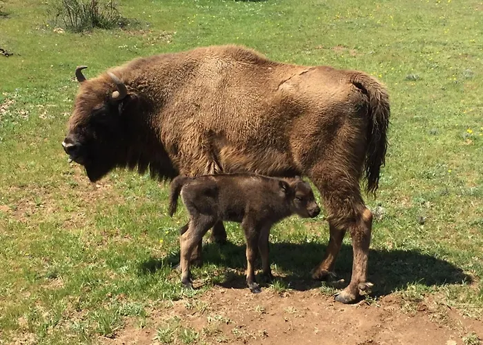 La Mozoncillo de Juarros